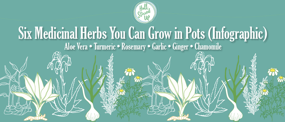 6 Medicinal Herbs You Can Grow in Pots – Infographic