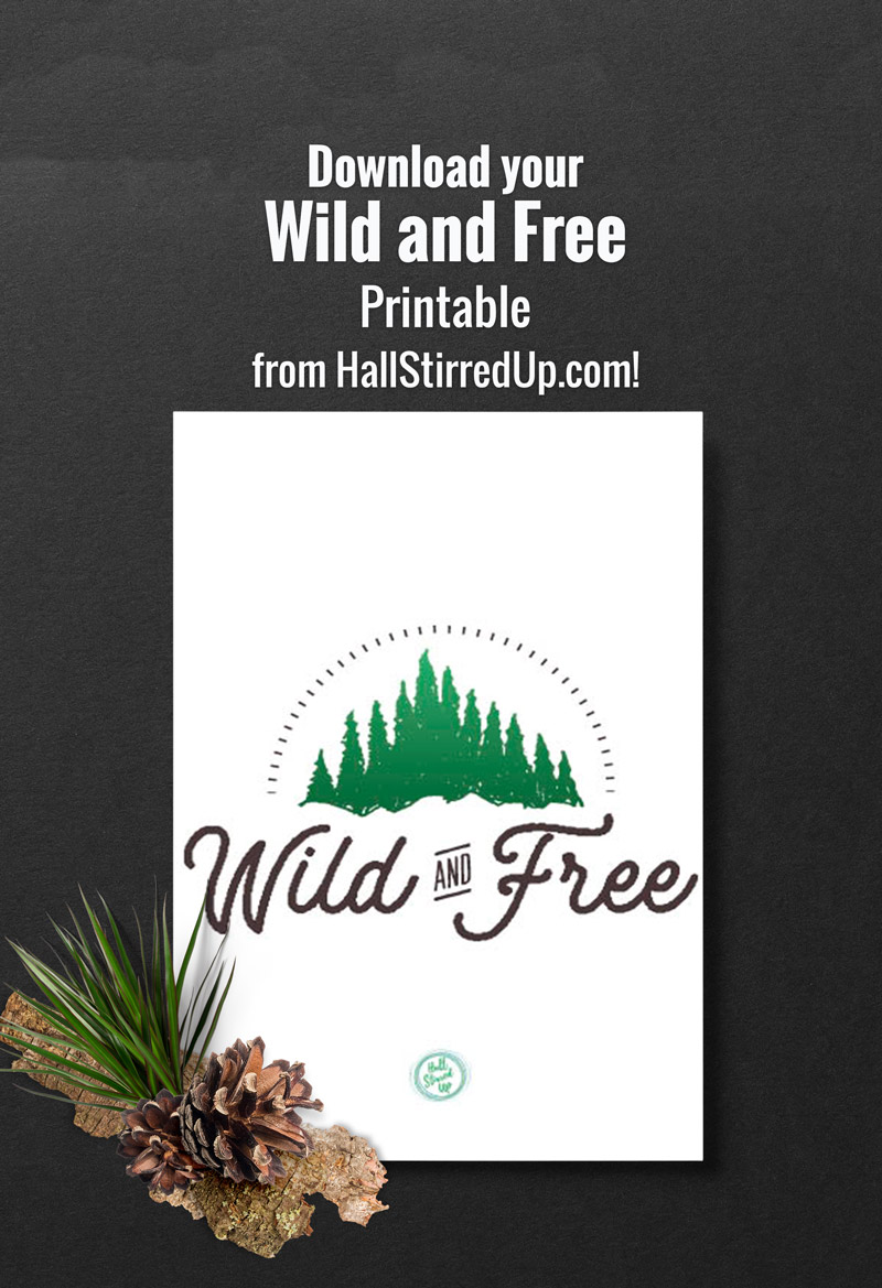 Wild and Free: Greater Yellowstone vacay report