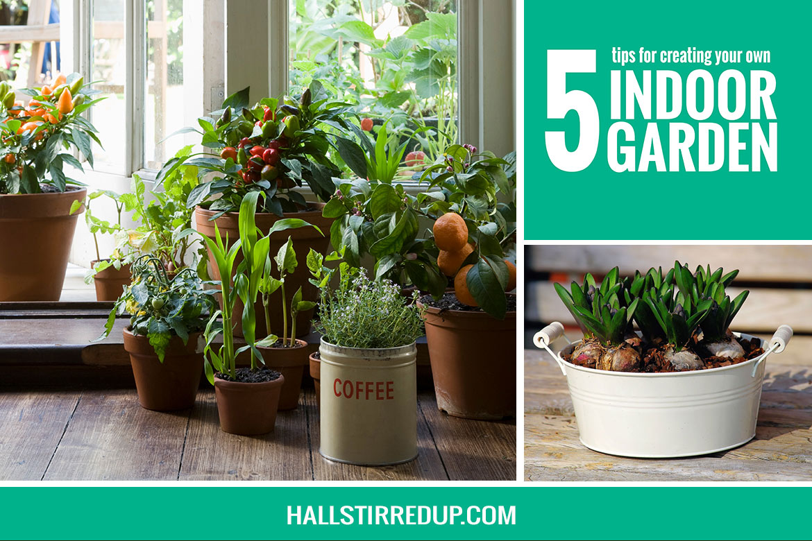 5 tips for creating your own indoor garden