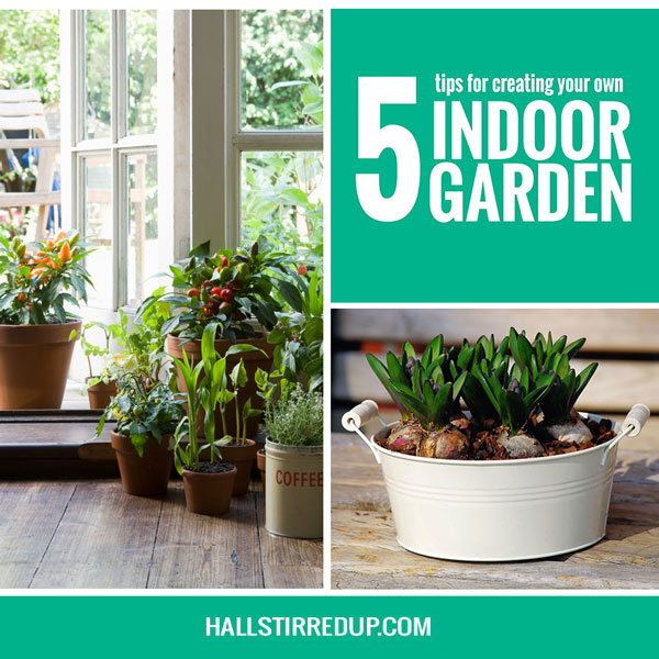 5-tips-creating-indoor-garden
