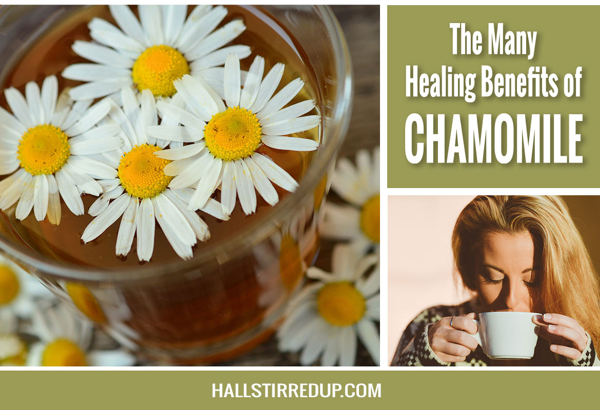 The Many Healing Benefits of Chamomile