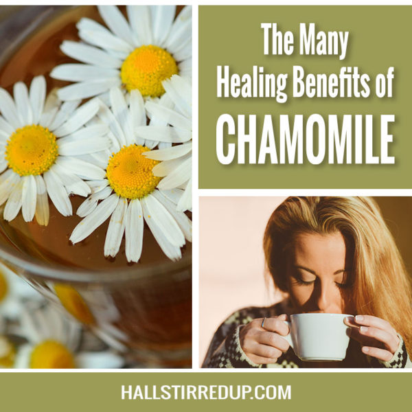 Many-healing-benefits-chamomile