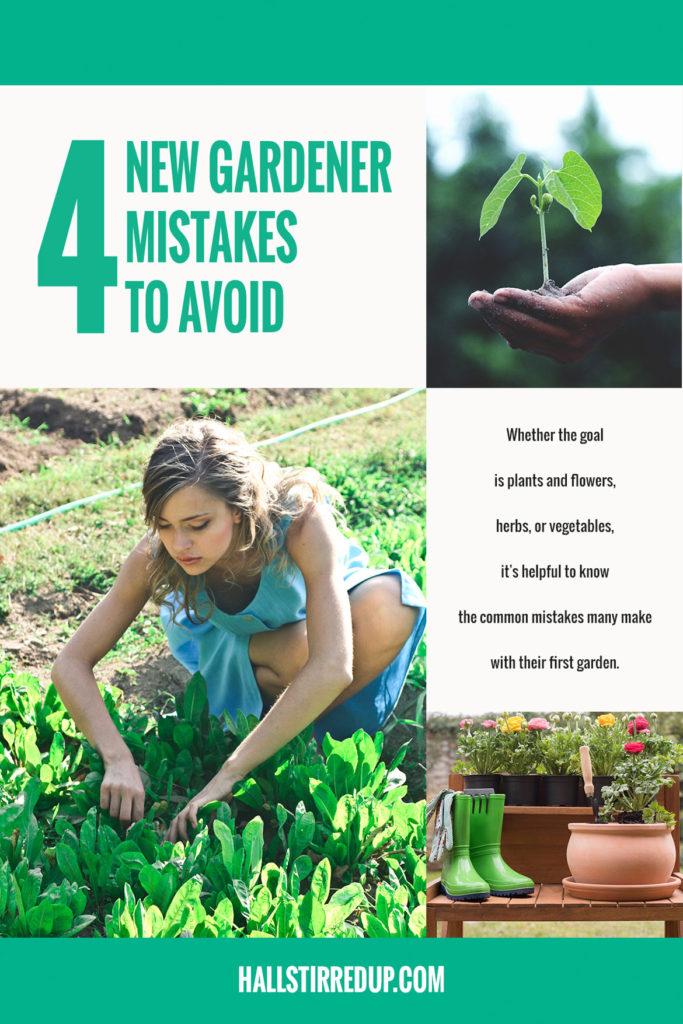 beginning-gardener-4-mistakes-avoid