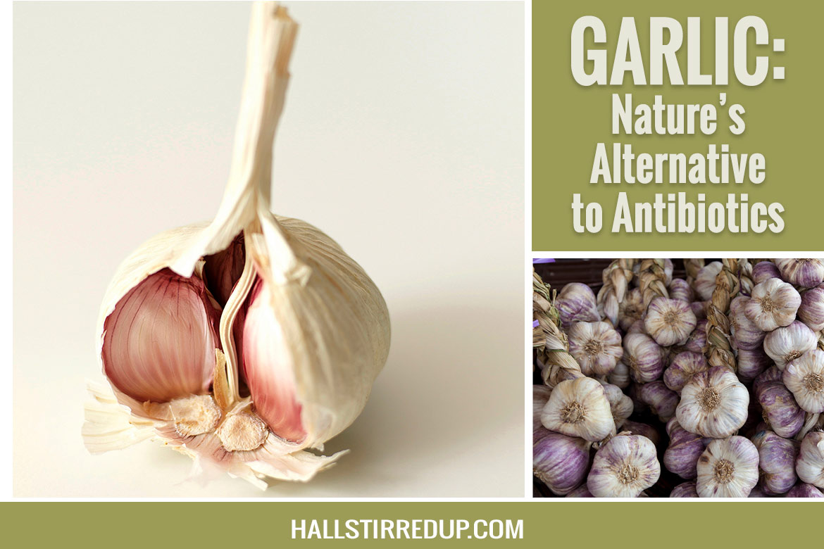 Garlic: Nature’s Alternative to Antibiotics