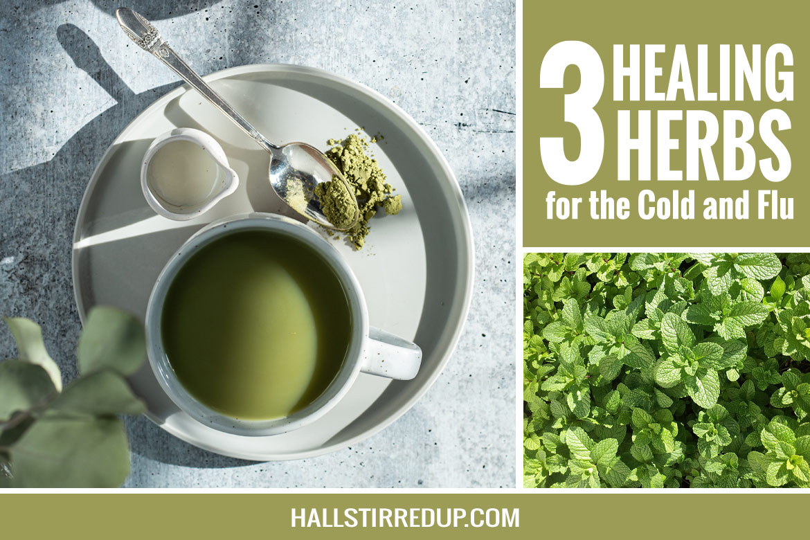 3 Healing Herbs for the Cold and Flu