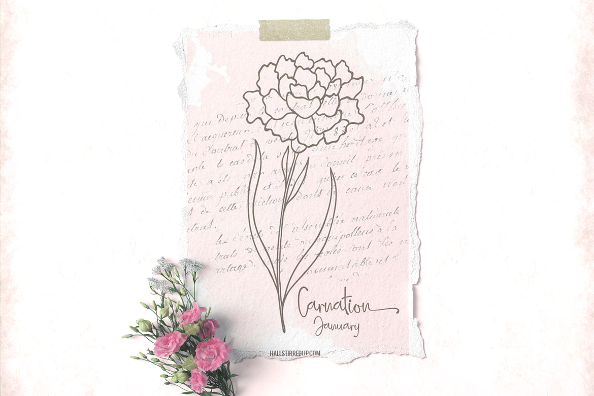 Carnation is January’s birth flower – new series includes printable!