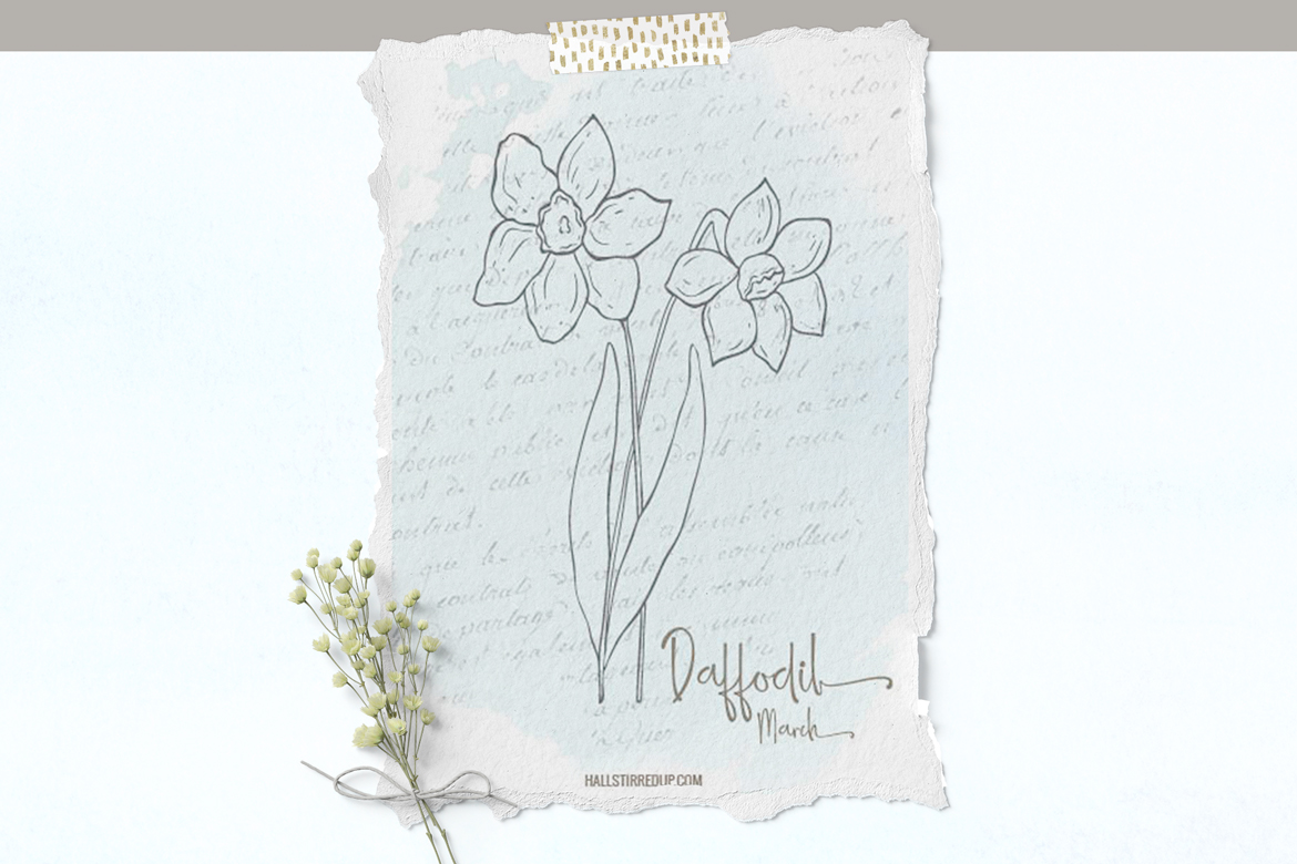 Daffodil is March’s birth flower! Includes new printable
