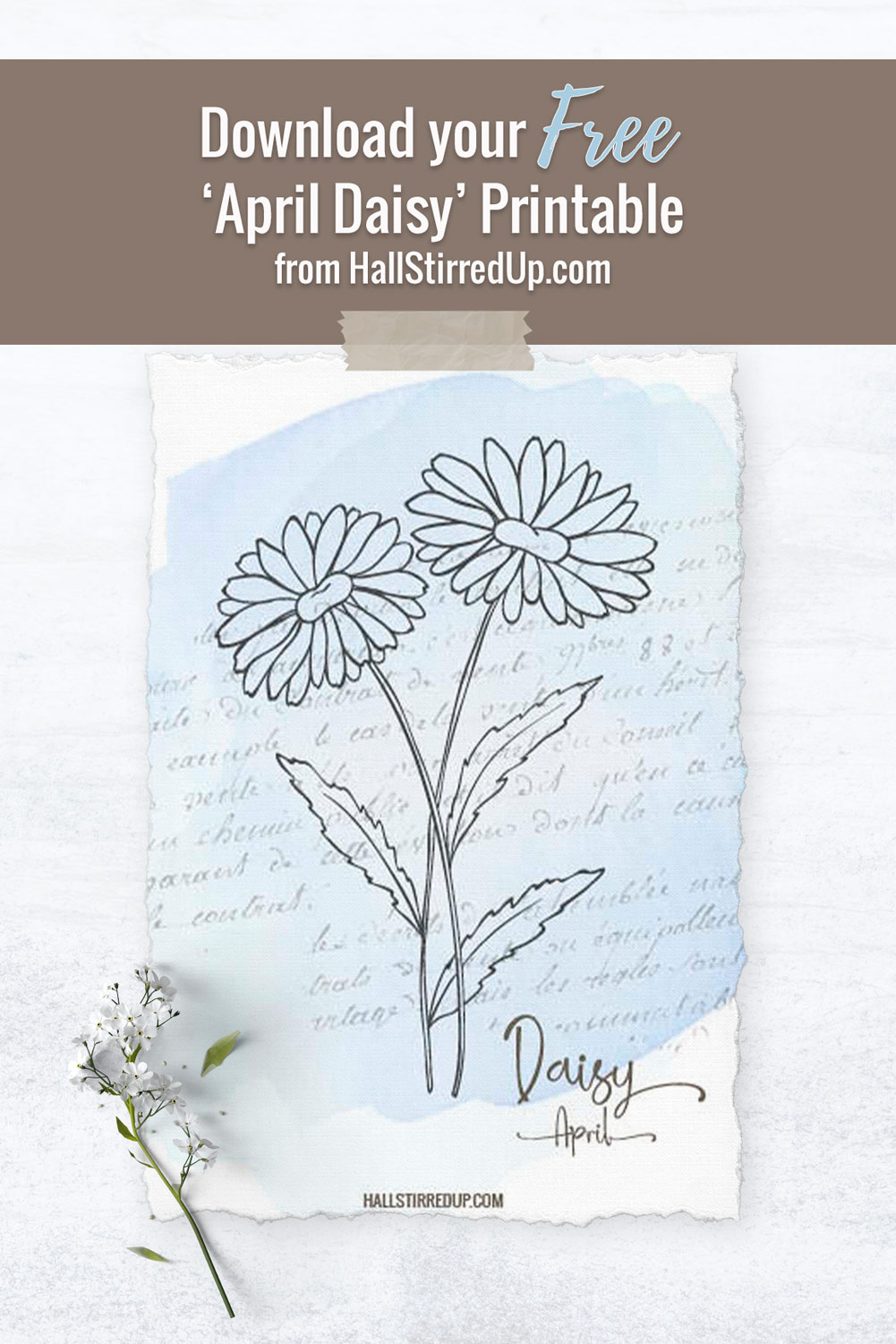 April's Birth Flower is the pretty Daisy and includes a free printable!
