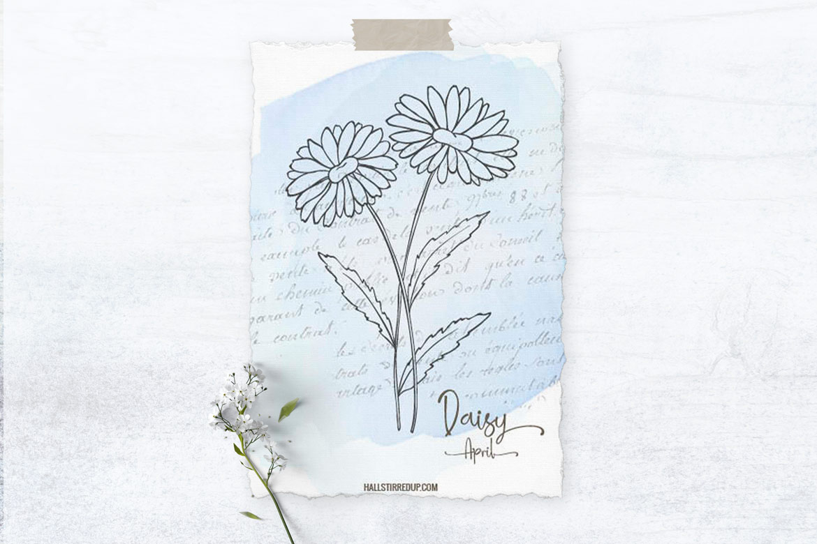 April’s Birth Flower is the pretty Daisy and includes a free printable!