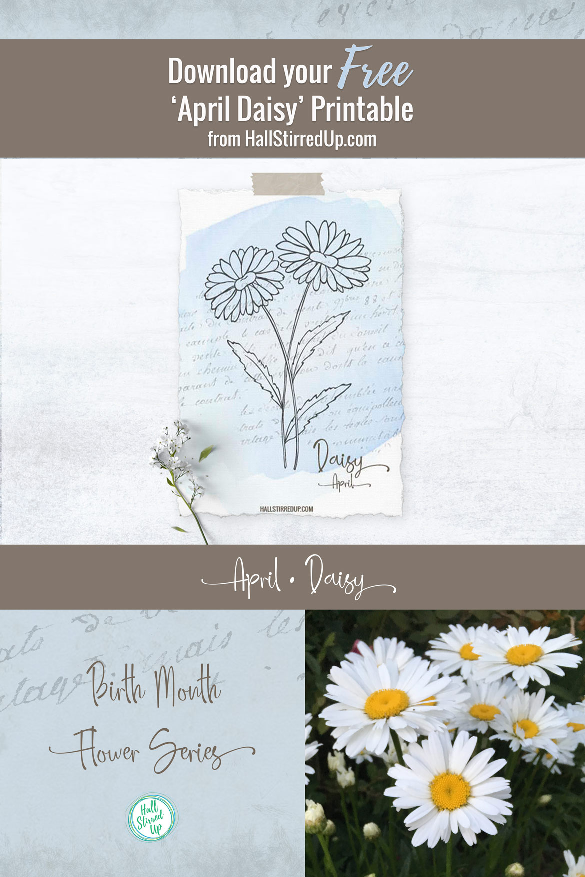 April's Birth Flower is the pretty Daisy and includes a free printable!