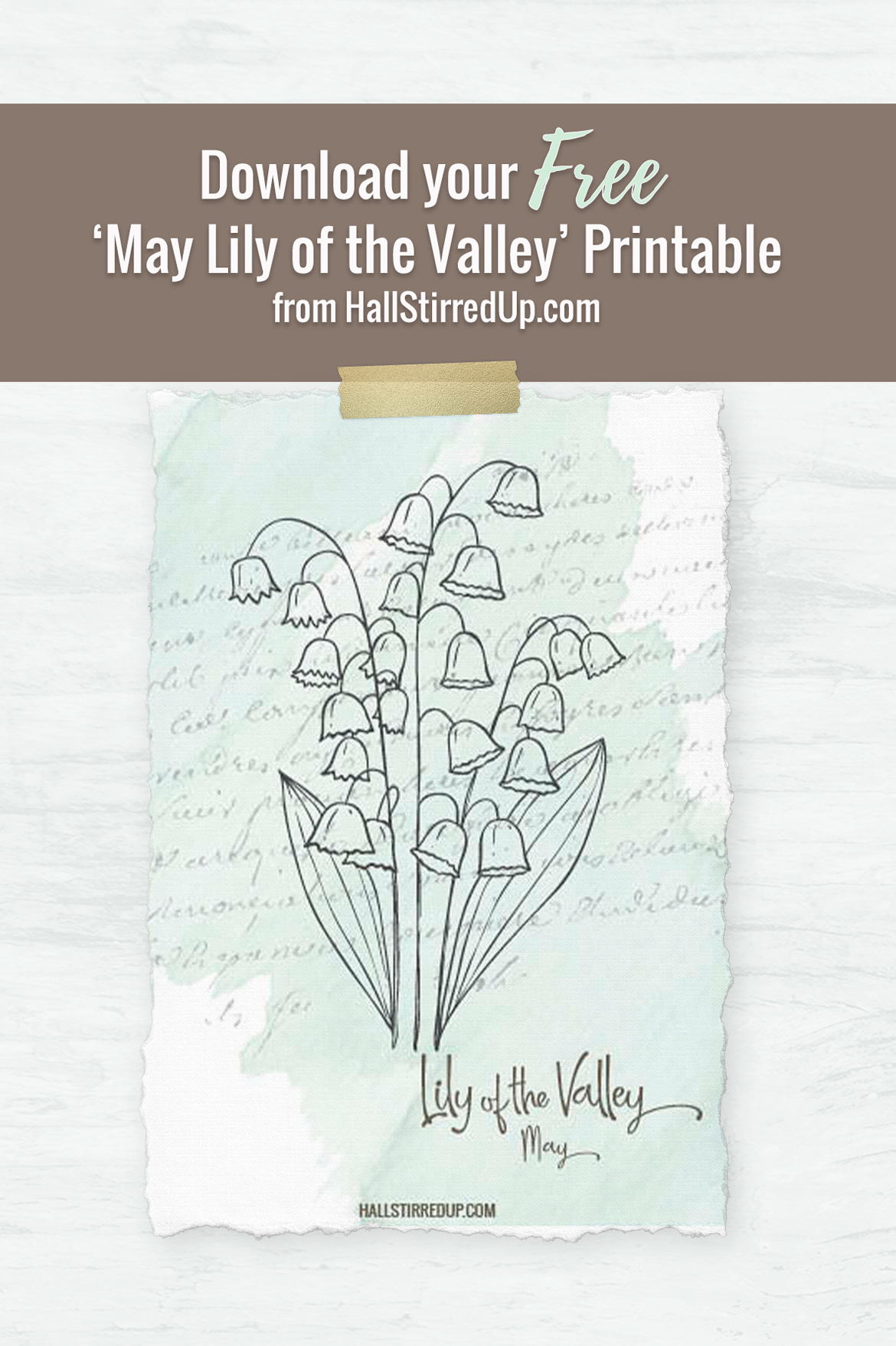 The delicate Lily of the Valley is May's birth flower - with printable