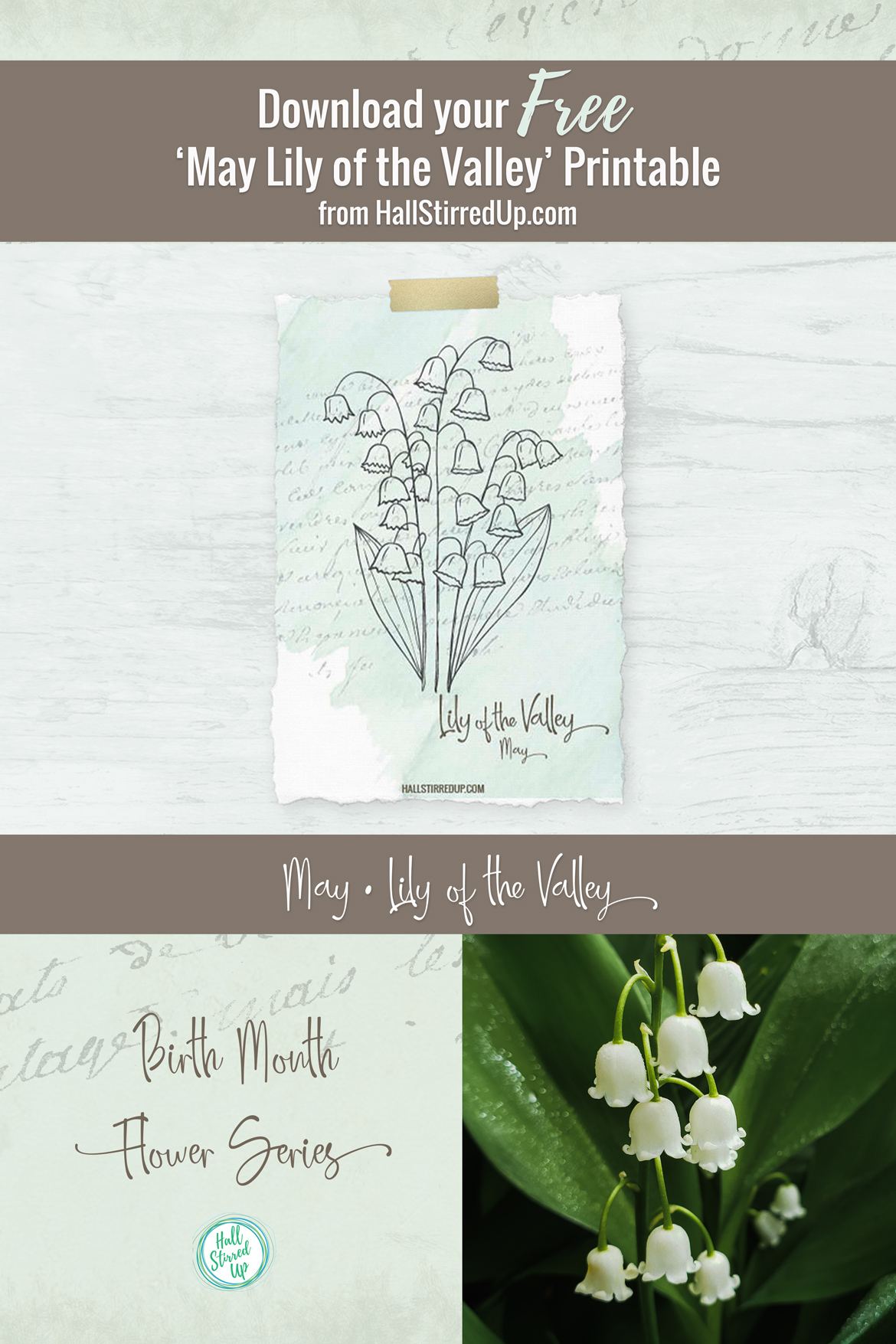 The delicate Lily of the Valley is May's birth flower - with printable