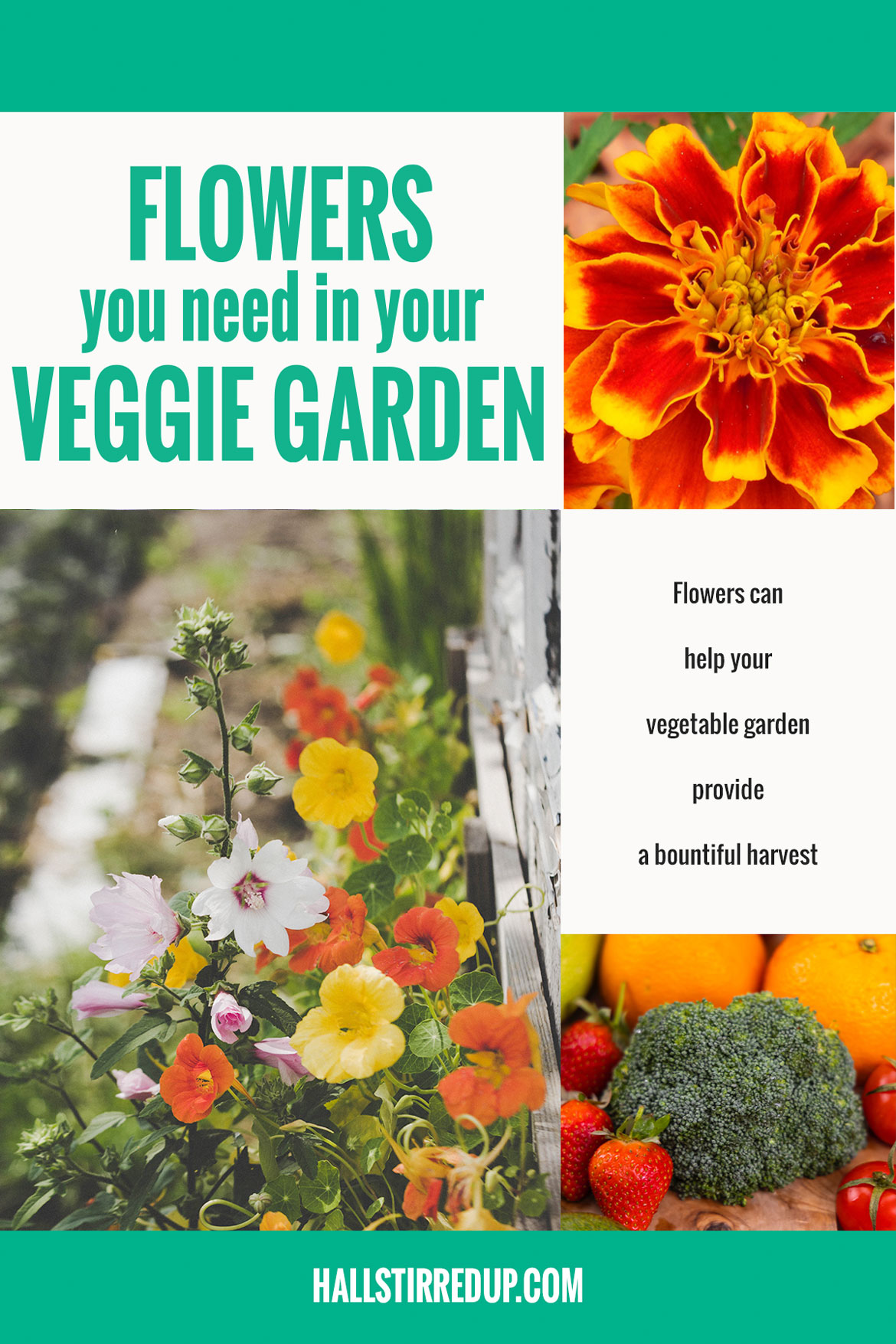 Why you need flowers in your veggie garden
