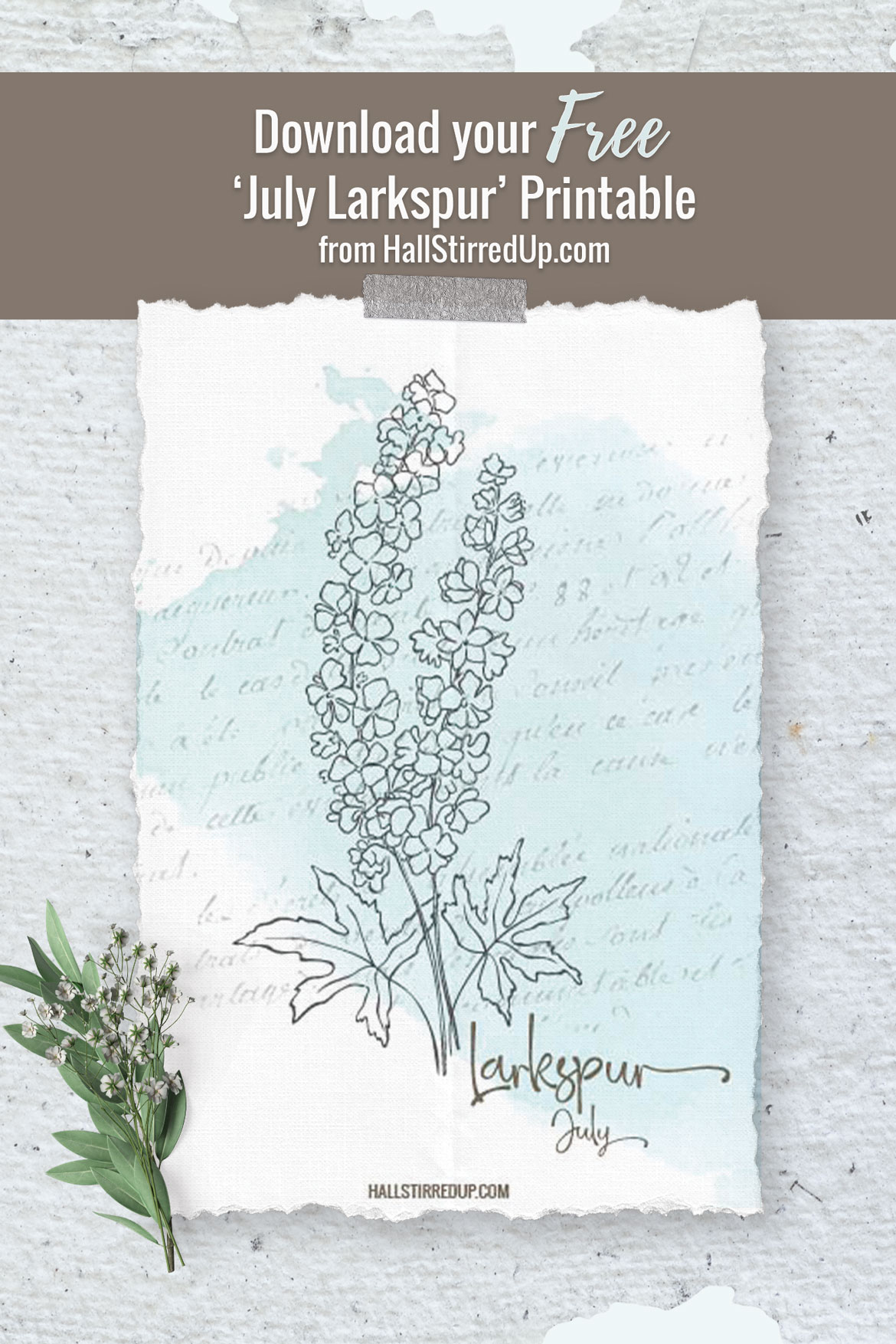 July's Birth Flower is the pretty Larkspur Includes printable