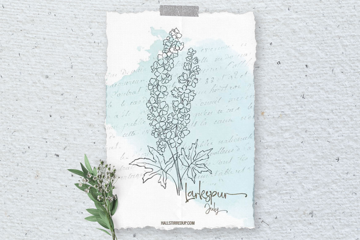 July’s Birth Flower is the pretty Larkspur! Includes printable