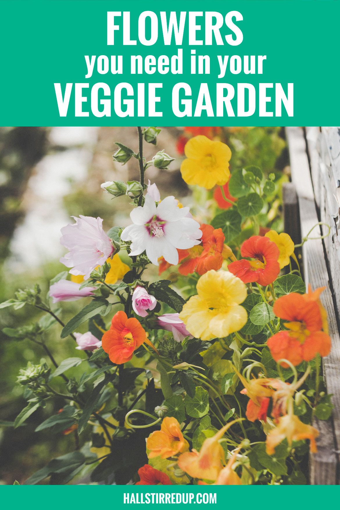 Why you need flowers in your veggie garden