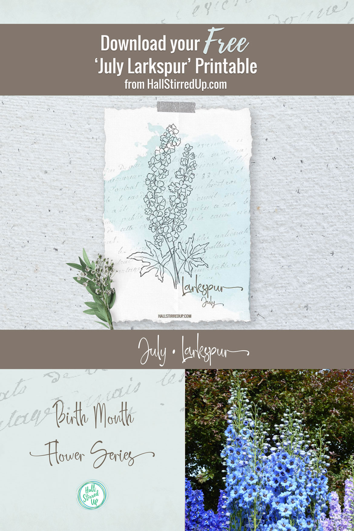 July's Birth Flower is the pretty Larkspur Includes printable