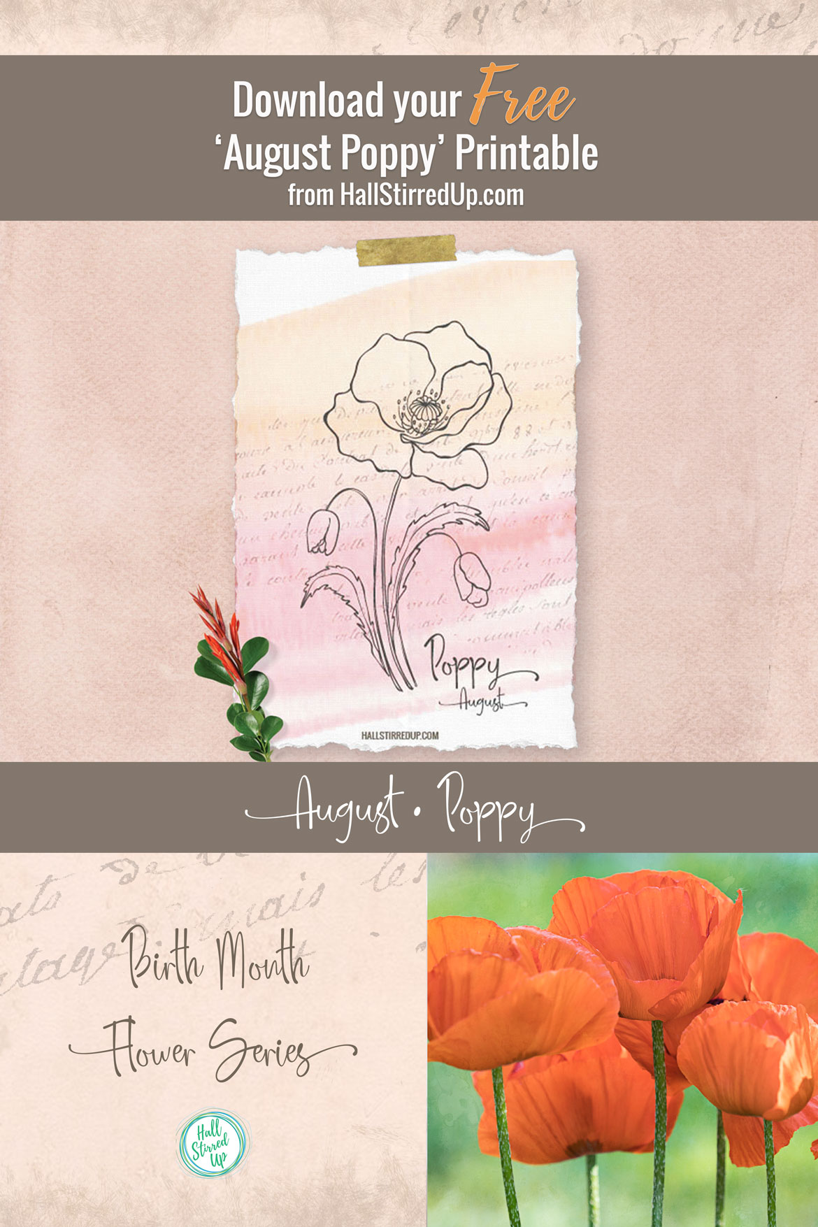 The Birth Flower for August is the bright Poppy Includes printable