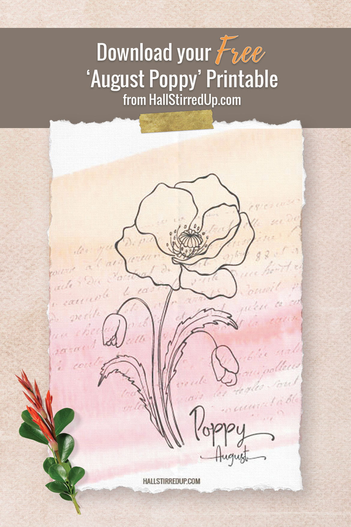 The Birth Flower for August is the bright Poppy Includes printable