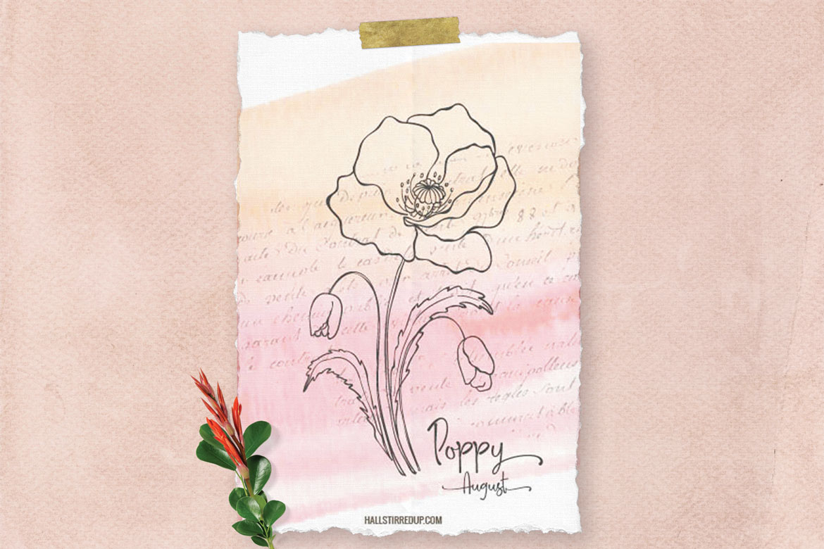 The Birth Flower for August is the bright Poppy! Includes printable