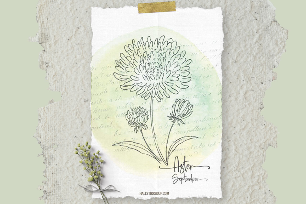 The pretty Aster is September’s Birth Flower and includes a free printable!