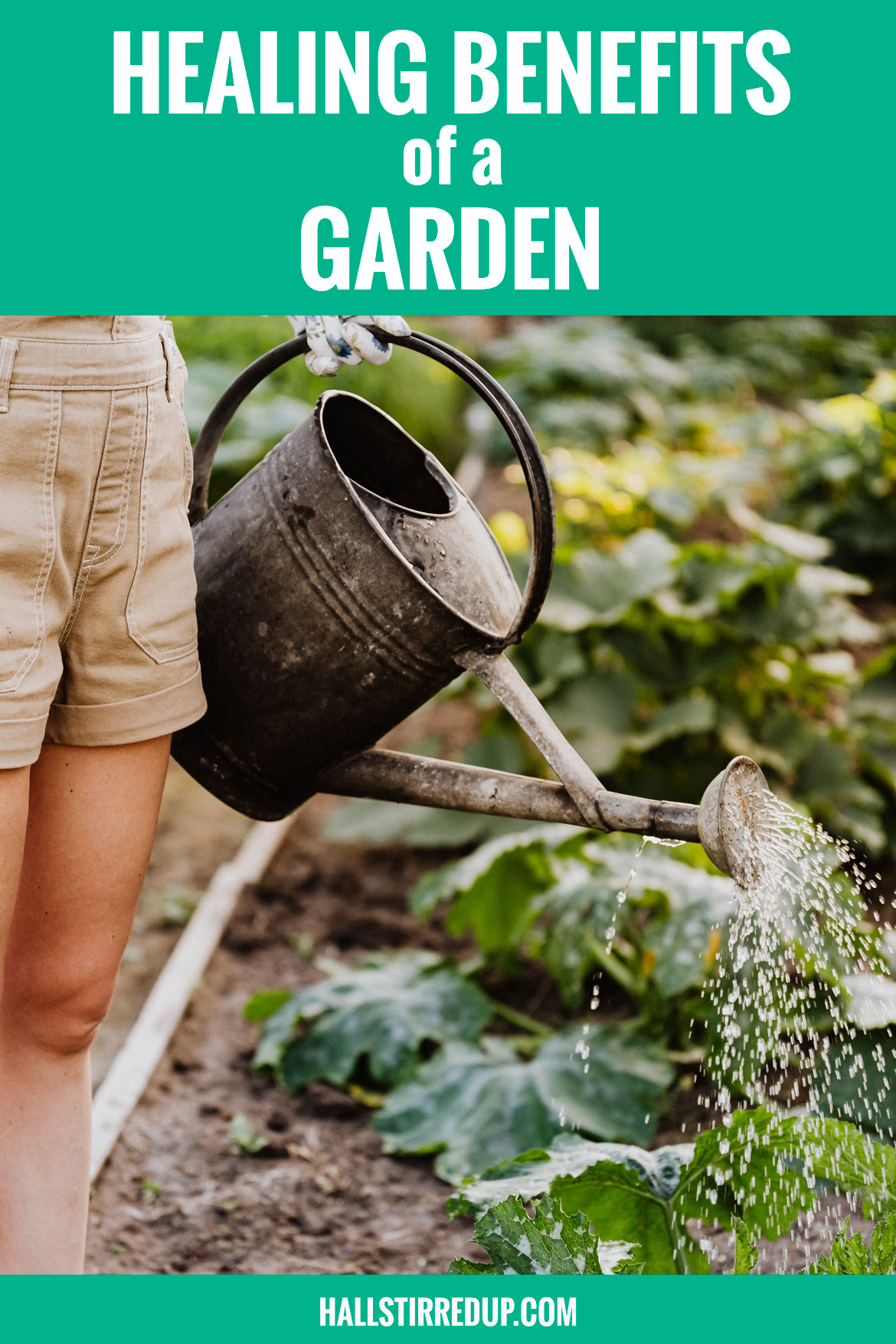 Healing benefits of a garden