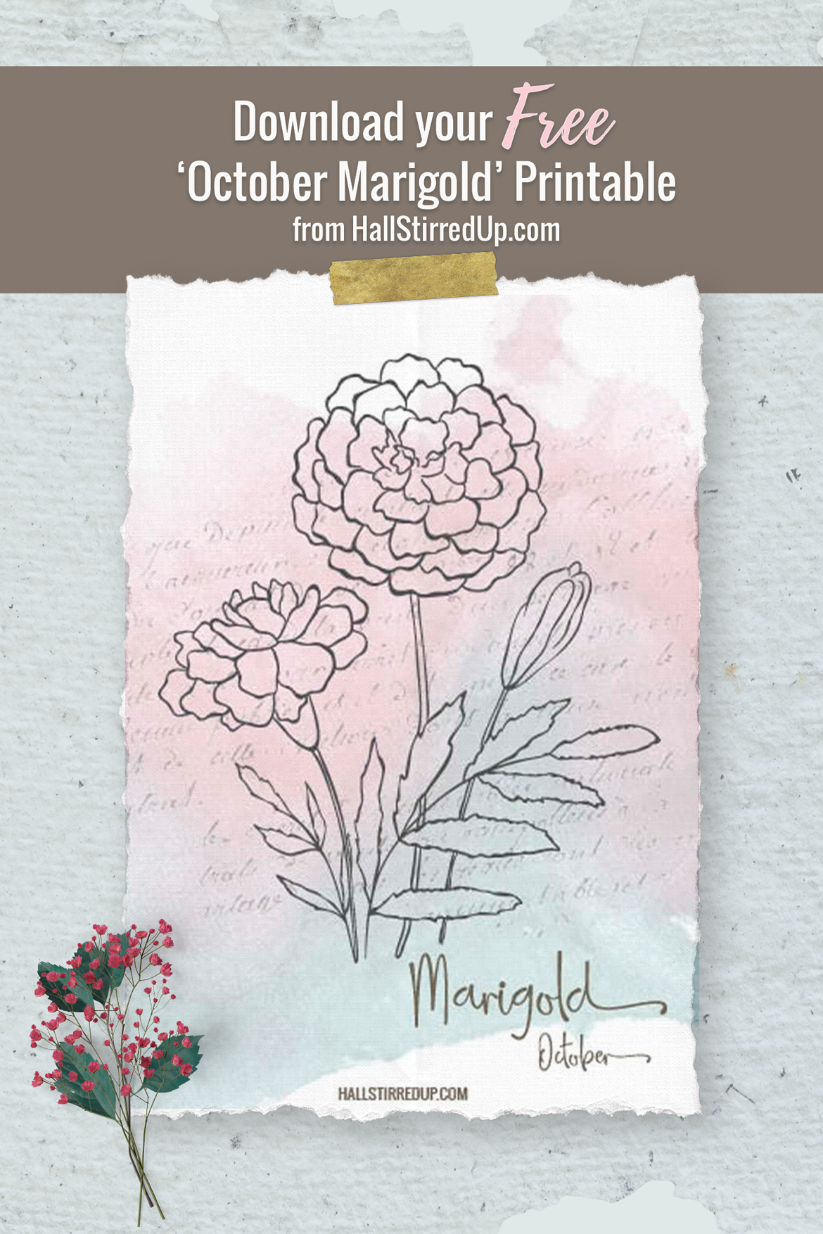 The spicy Marigold is October's birth flower Includes free printable