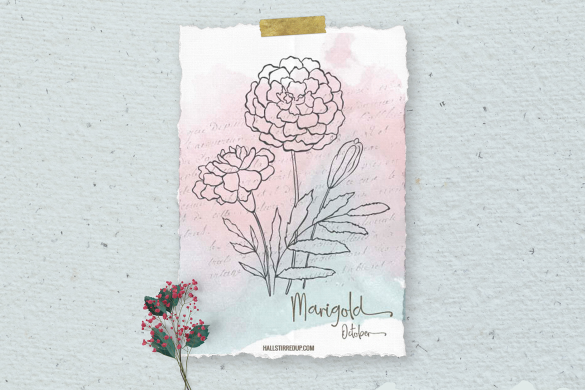 The spicy Marigold is October’s Birth Flower! Includes printable