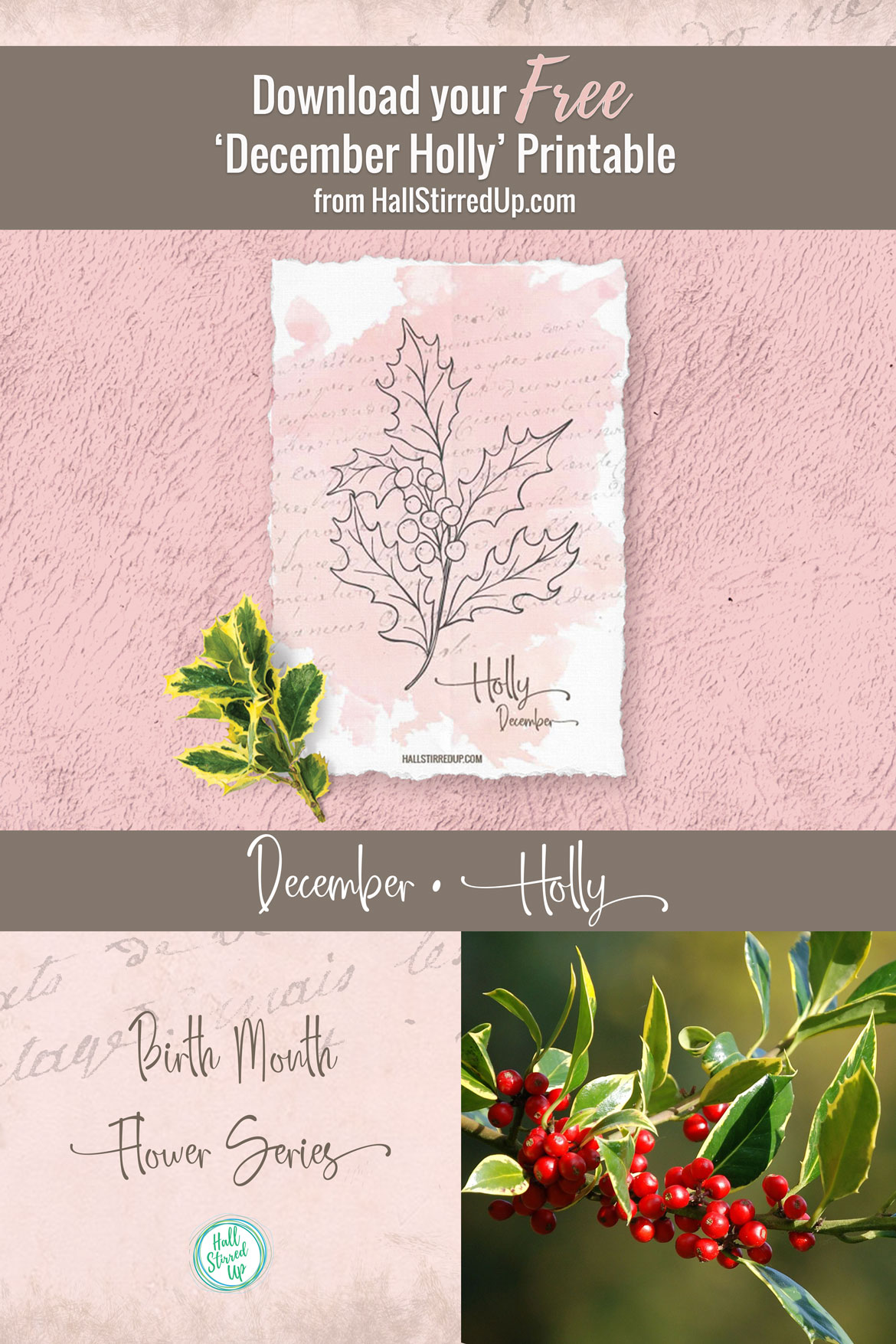 Festive Holly is December's Birth Flower Includes free printable