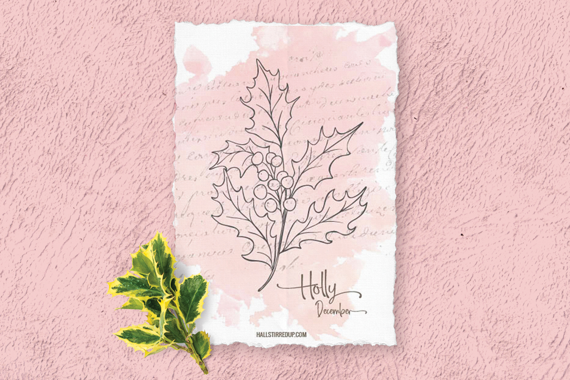 Festive Holly is December’s Birth Flower! Includes free printable