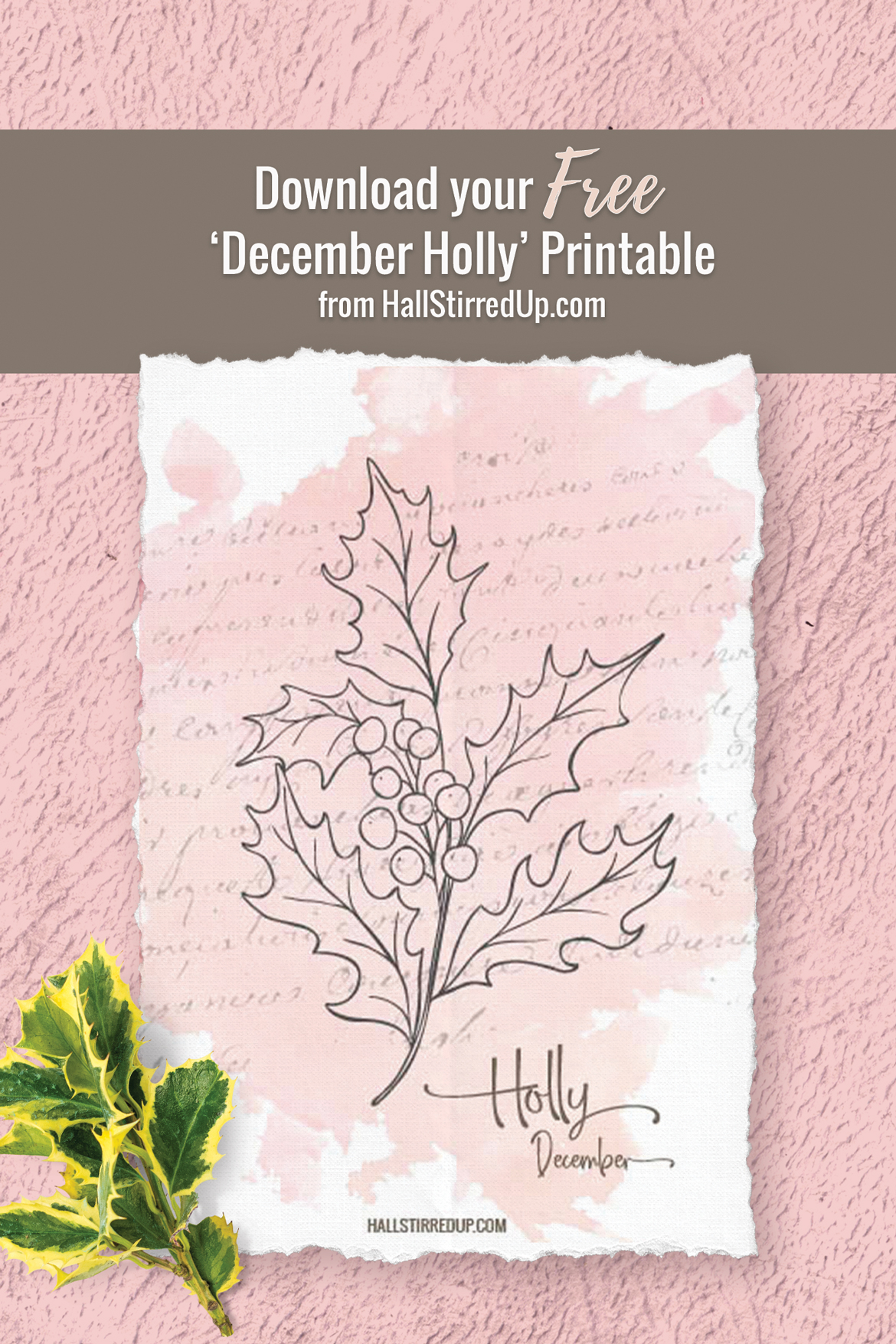 Festive Holly is December's Birth Flower Includes free printable