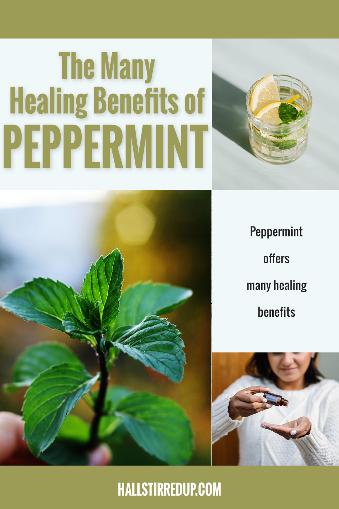 The many healing benefits of Peppermint