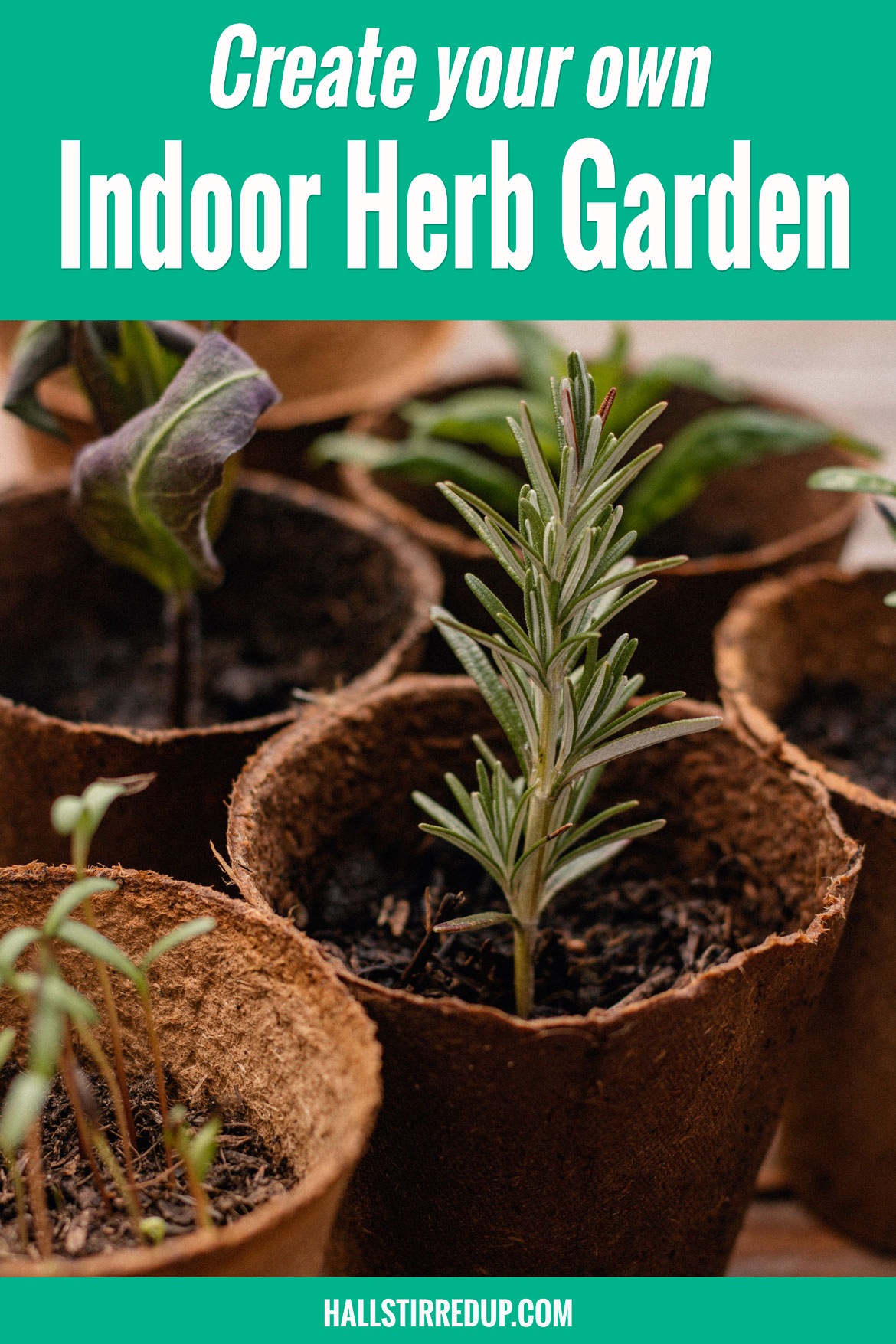 Create your own indoor herb garden