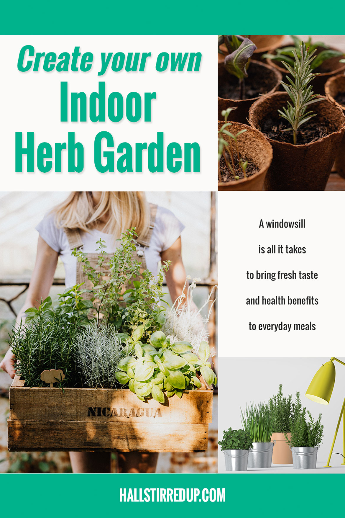 Create your own indoor herb garden