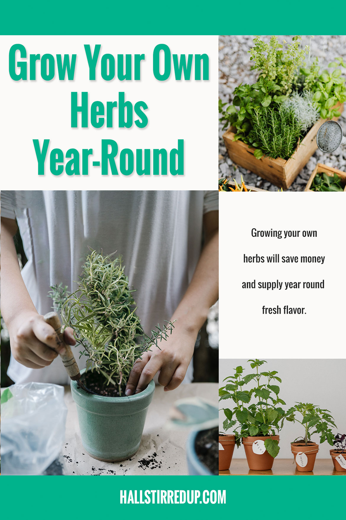 How to have fresh herbs year round