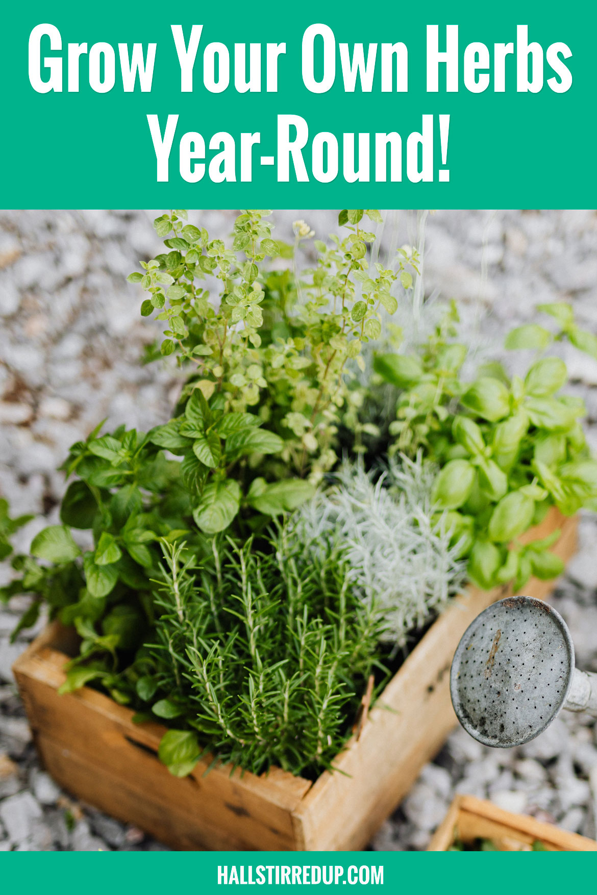 How to have fresh herbs year round