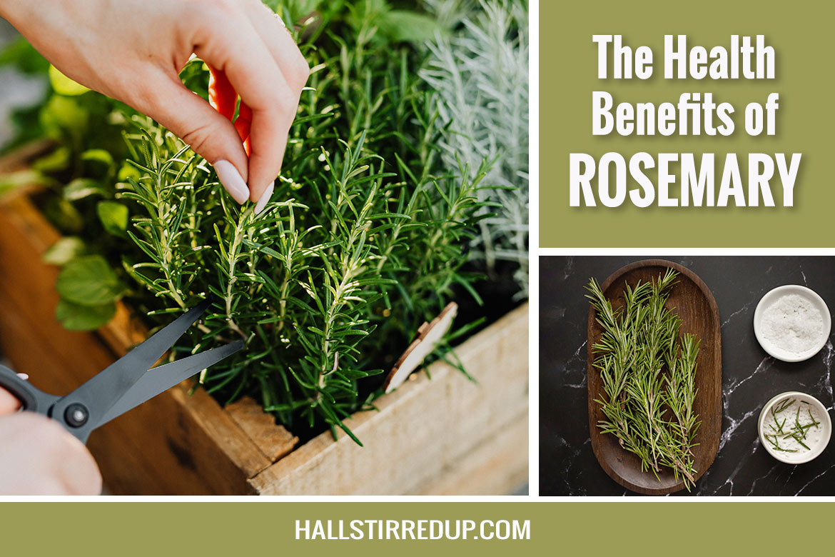 The Many Health Benefits of Rosemary