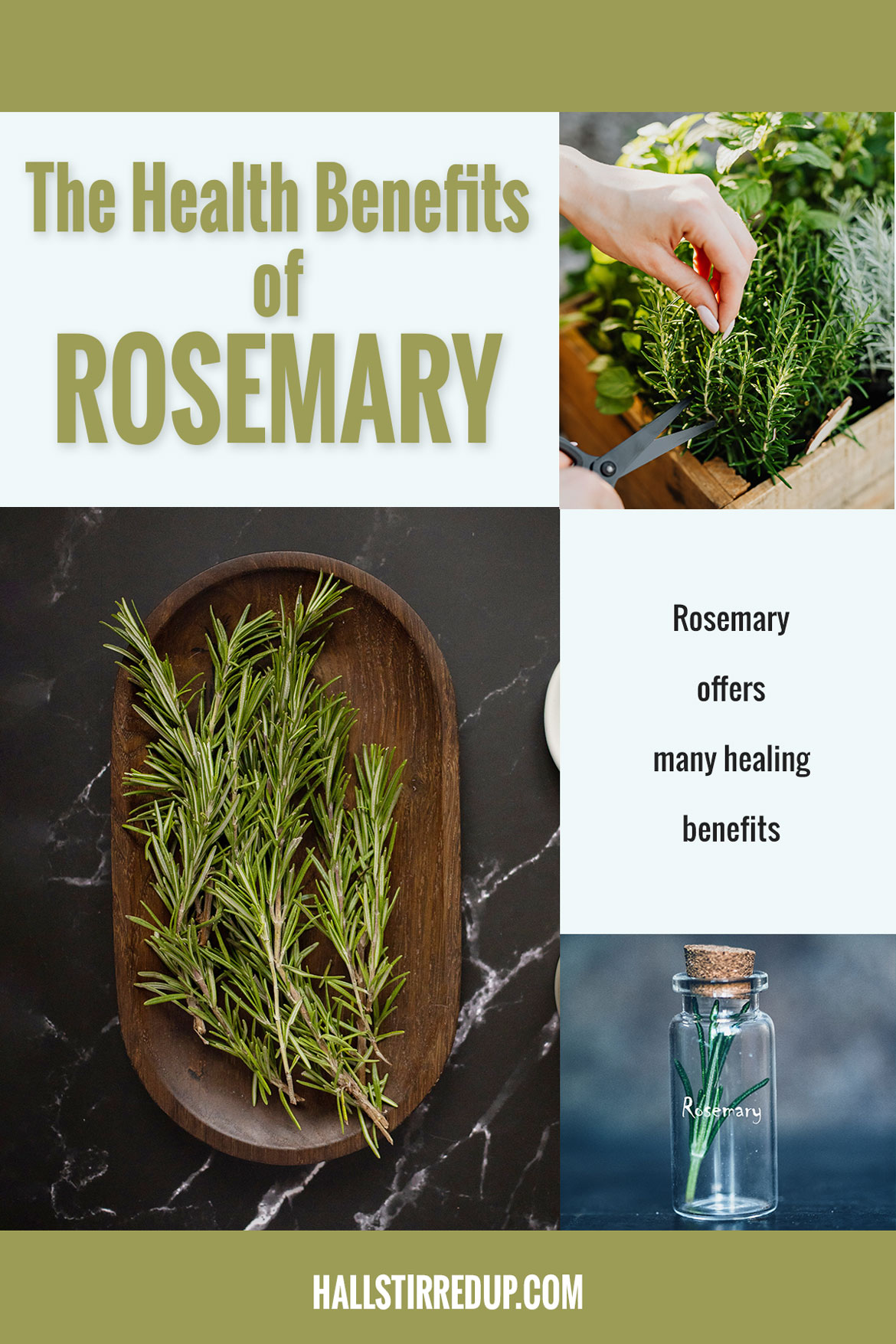 The Healing Benefits of Rosemary