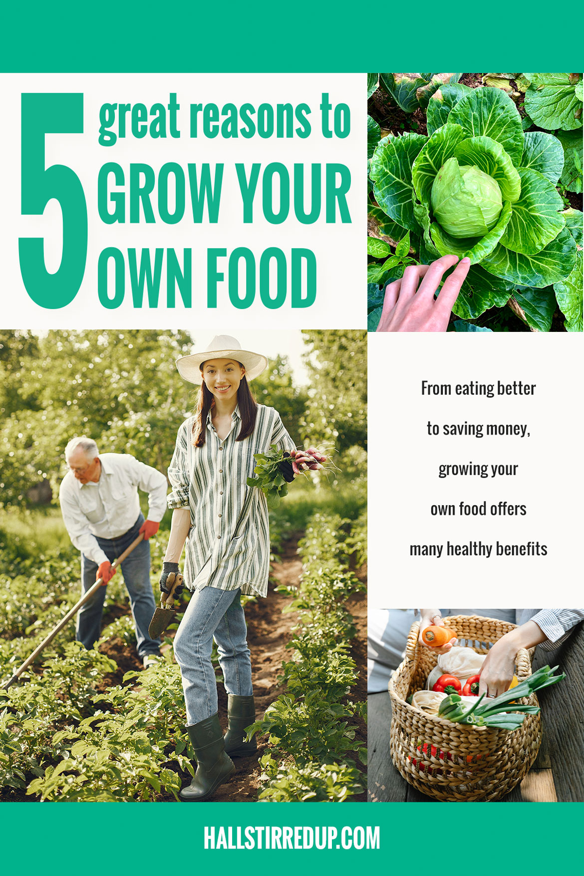5 great reasons to grow your own food
