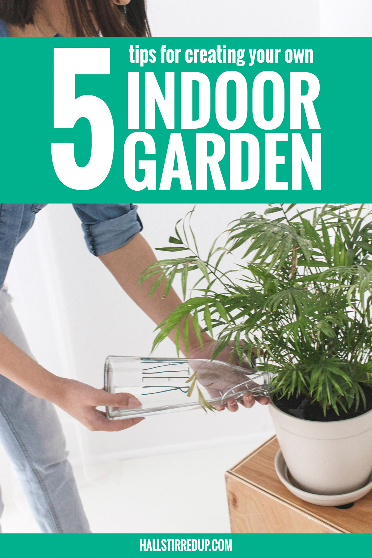 5 tips for creating your own indoor garden