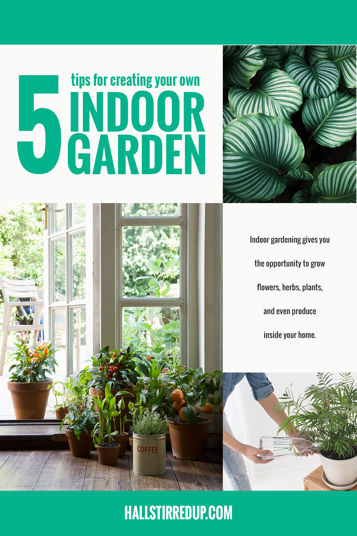 5 tips for creating your own indoor garden