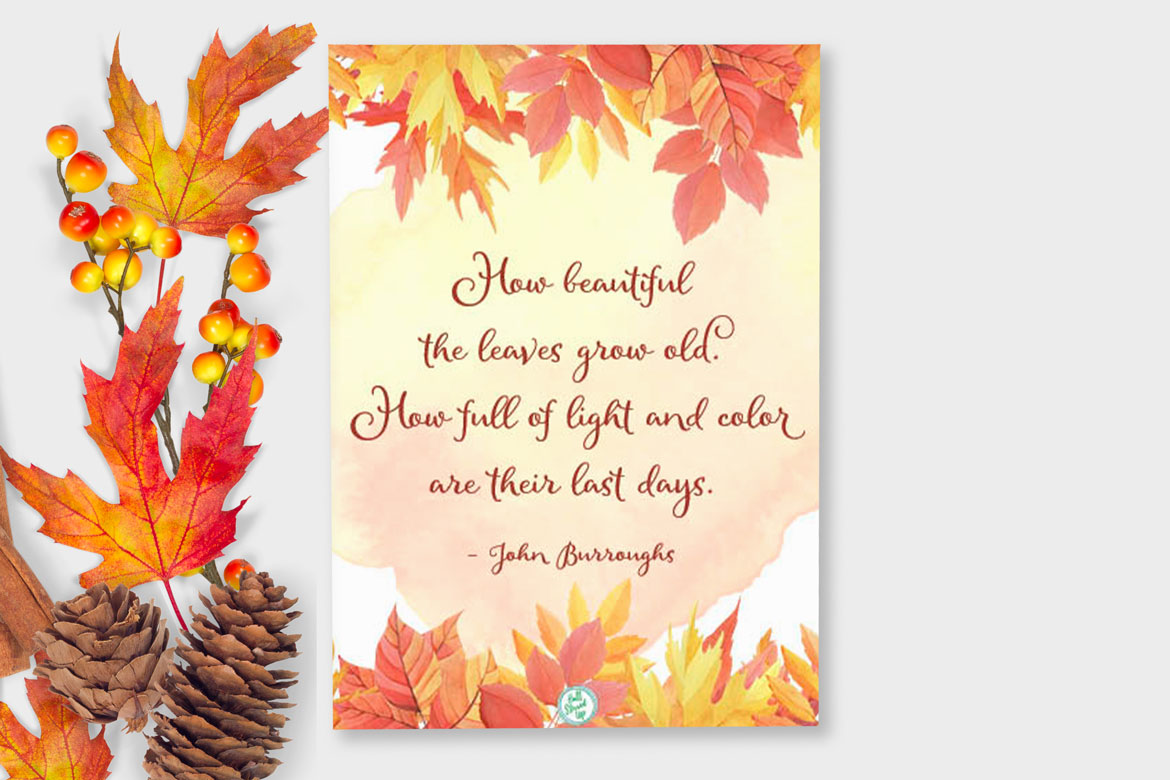 My favorite quotes for Autumn and a new printable!