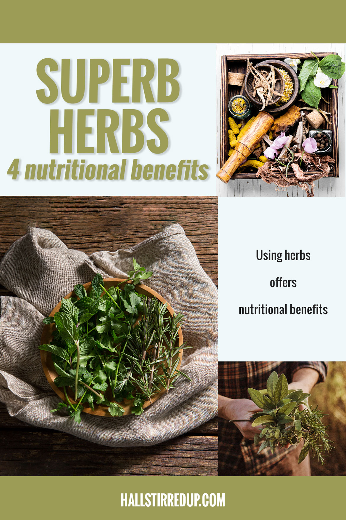 Superb Herbs 4 key nutritional benefits