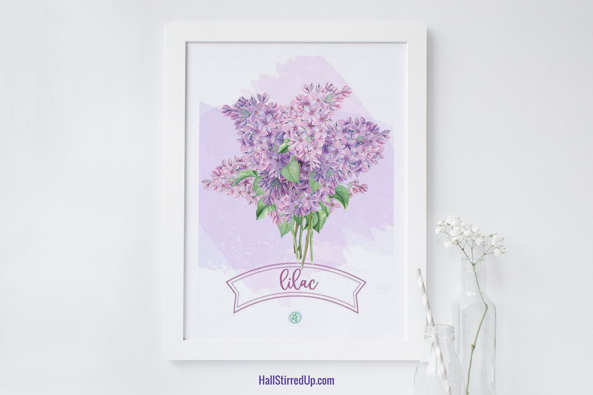 I love lilacs! Includes a pretty free printable