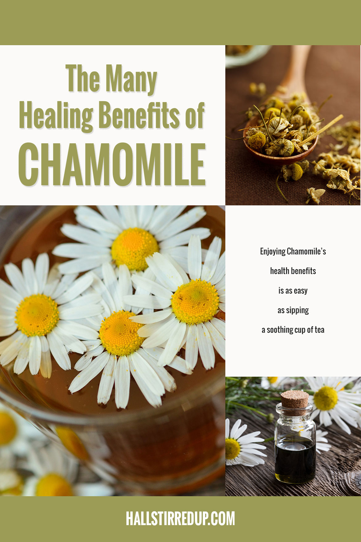 The Many Healing Benefits of Chamomile