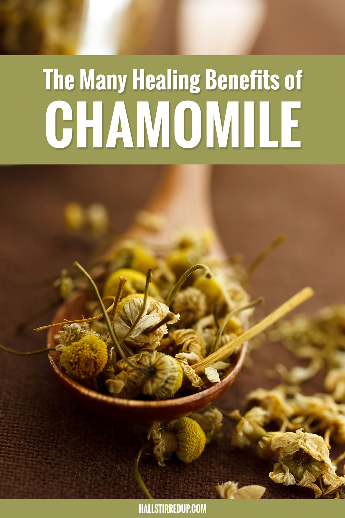 The Many Healing Benefits of Chamomile